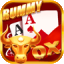 rummy noob icon